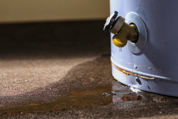Best Professional water damage repair  in Crowley Lake, CA