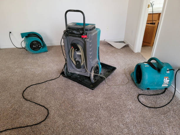 Best Water damage contractors near me  in Crowley Lake, CA