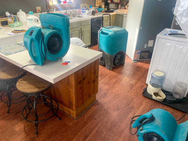 Best Ceiling water damage repair  in Crowley Lake, CA