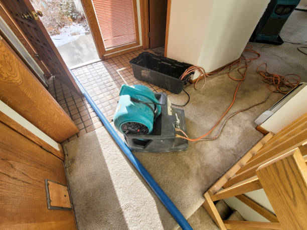 Best 24/7 water damage repair  in Crowley Lake, CA