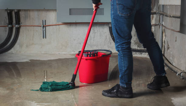 Best Fire Damage Restoration  in Crowley Lake, CA