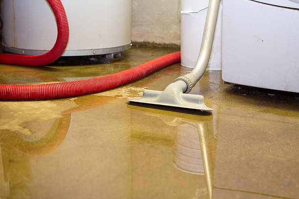 Best Sewage cleanup and water damage restoration  in Crowley Lake, CA