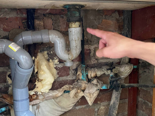 Best Fire Damage Restoration  in Crowley Lake, CA