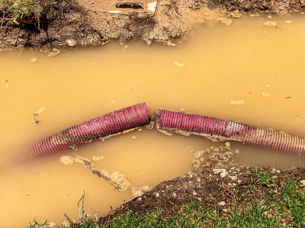 Best Water damage restoration services  in Crowley Lake, CA