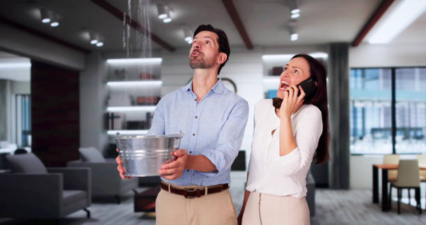 Best Carpet water damage restoration  in Crowley Lake, CA