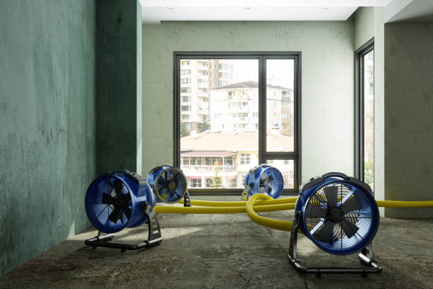 Best Water damage restoration insurance claims  in Crowley Lake, CA